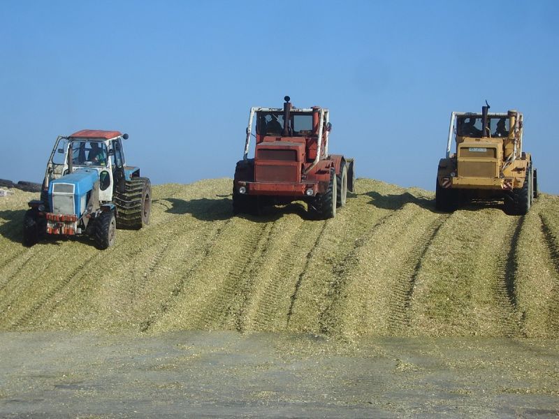 k 700 - a 07.jpg.jpg